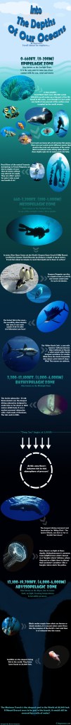 The-Depths-Of-Our-Oceans-Final6