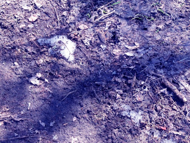 Home Bye bye IMG_0643