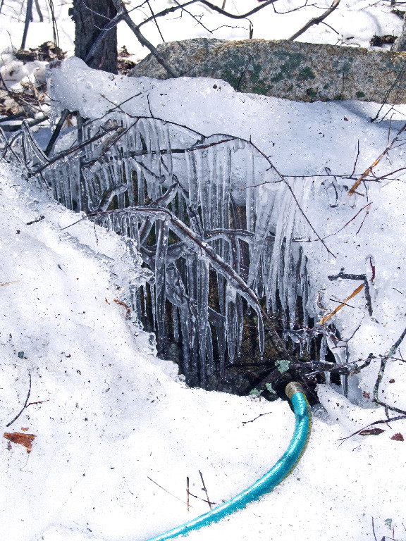 Home Flooded basements and snowpack at the same time IMG_0603