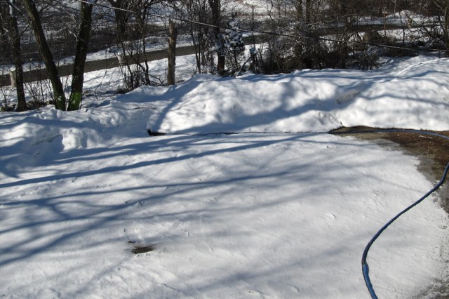 Home Palm Sunday 2015 IMG_0596