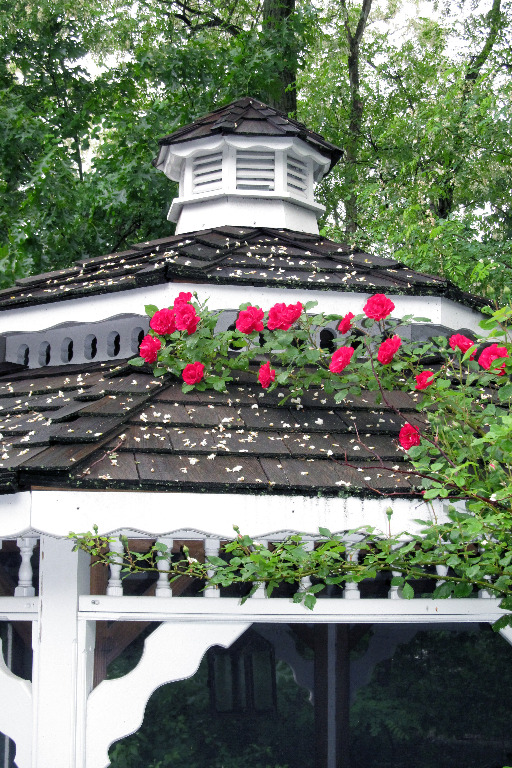 IMG_0897 Donies spirit