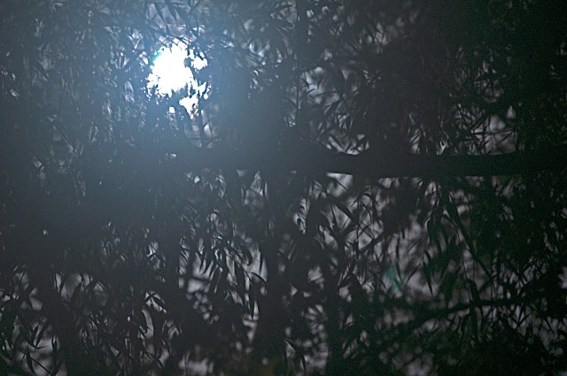 before eclipse_DSC0868