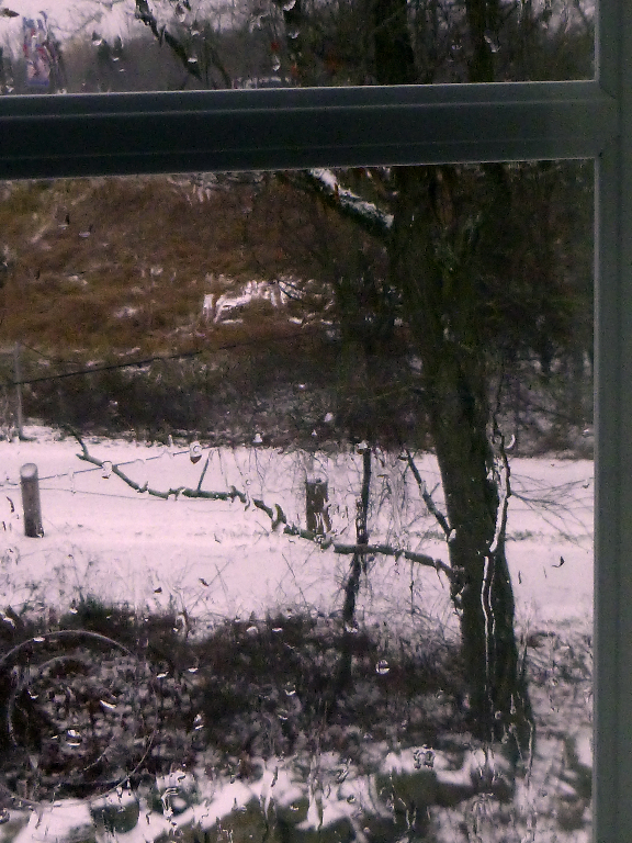 three months of this P1000185