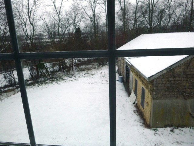 winter again P1000183