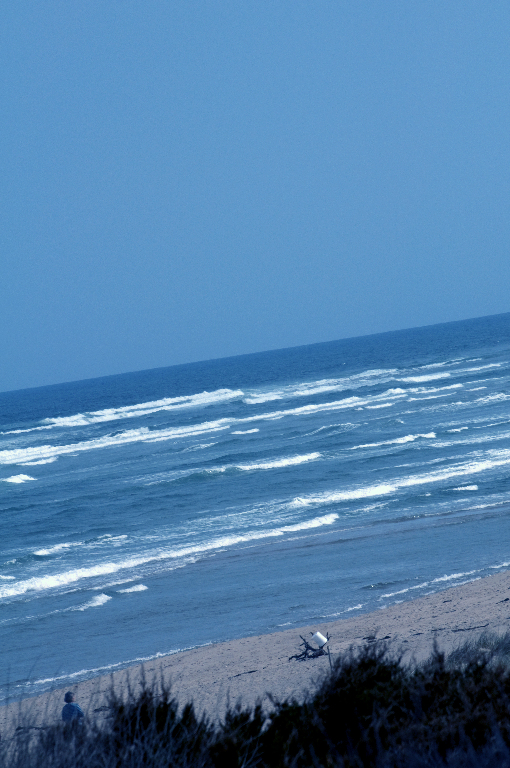 Coast Guard Beach_DSC0021